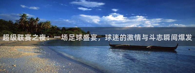 Vsport体育官方网站入口：超级联赛之夜：一场足球盛宴，球