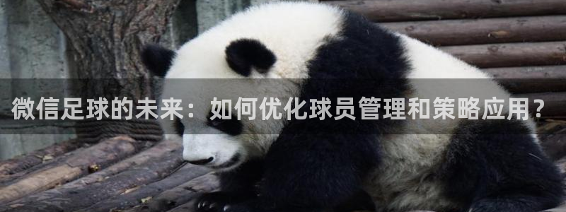 vSport体育app最新版本更新内容：微信足球的未来：如何