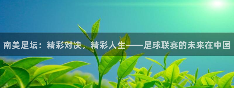  vsport体育平台：南美足坛：精彩对决，精彩人生——足球联