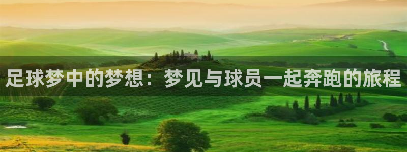 vsport体育平台app下载安装免费：足球梦中的梦想：梦见