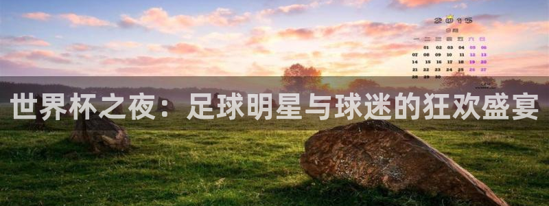 vSport体育app最新版本更新内容：世界杯之夜：足球明星